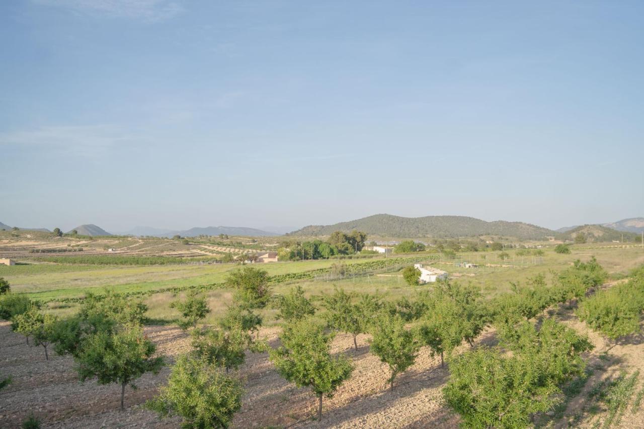 Sunny Vista Bed & Breakfast Pinoso Dış mekan fotoğraf